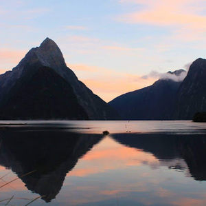 Meet your Posher, Annalisa